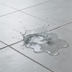 水泼落地难收回2009