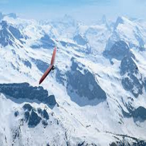 Freiflug