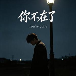 你不在了