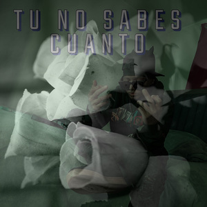 TU NO SABES CUANTO