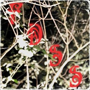 oltre il muro di foglie (fuga)