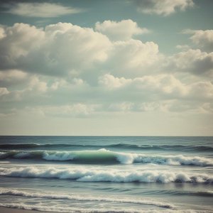 Transparency (In Rest)