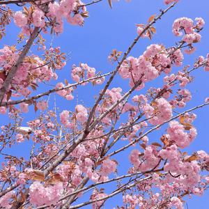 让她降落（钢琴版）