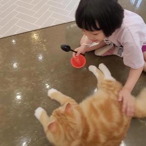 궁디팡팡 행복빵빵