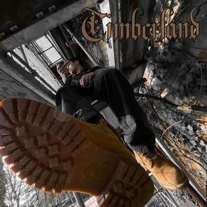 Timberland (feat. Dani G)