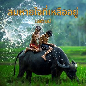 ลมหายใจที่เหลืออยู่