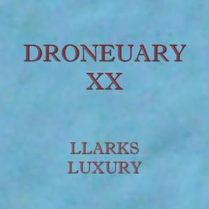 Droneuary XX