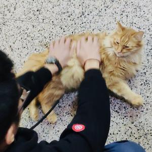 不许你注定一人（翻自 常岩）