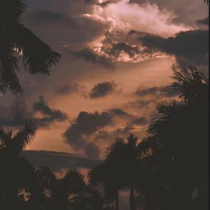 你是我想要的恋爱