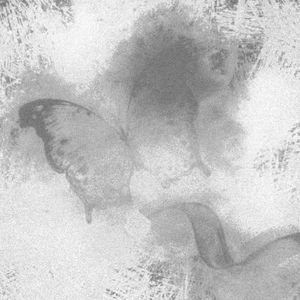 ₍ᐢ〃 • ֊ • 〃ᐢ₎ ఇ