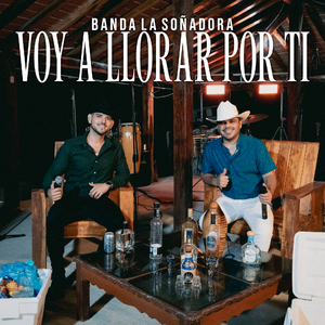 Voy A Llorar Por Ti (En Vivo)