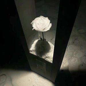 Baby,Don't Cry (纯音乐)