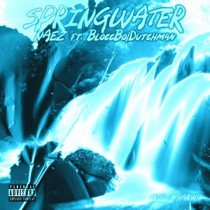 Springwater (feat. BloccBoi Dutchman)