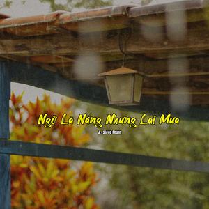 Ngỡ Là Nắng Nhưng Lại Mưa