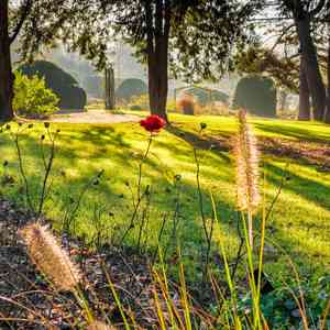 小雨伴微风 (静心曲)