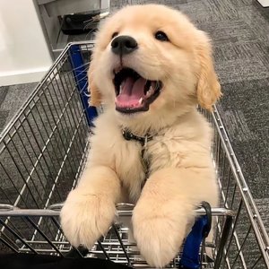 你看见遗憾 我看见爱情