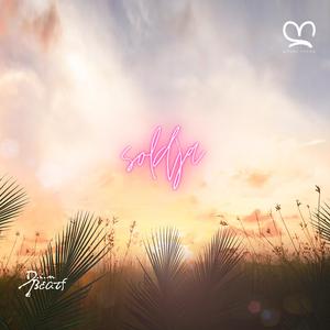 Soldja (feat. Din BEATS, Jazzy Rhodes, Arándano, Afro Zen, Kanda Beats & Mwana Ya Suka)