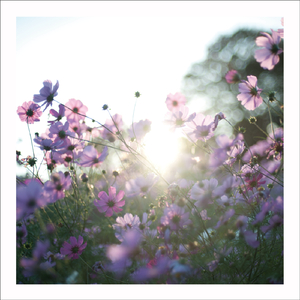 明日へ (feat. towana)