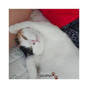 묘하게 행복해~