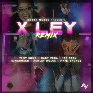 X Ley (Remix)