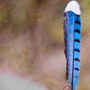 the first time we spoke