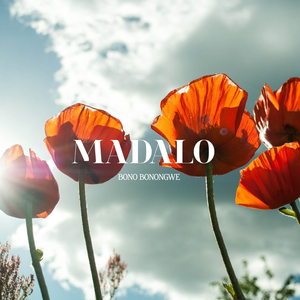 Madalo