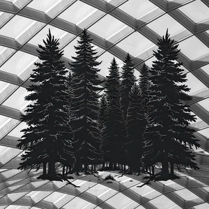 A Deep And Dark Forest