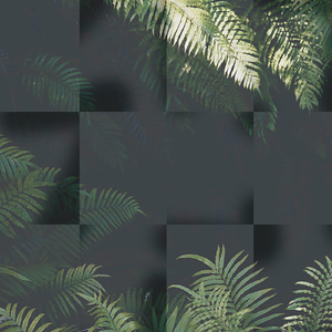 11_6778__00 (Tiger Balm Edit) [feat. Eduardo Lopez, Alexromero3000 & Sol Oosel]