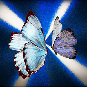 МАГНИТЫ (feat. Анастасия Суворкина)