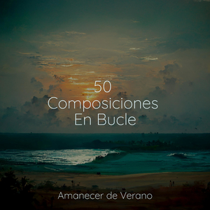 El Camino de la Serenidad se Despliega