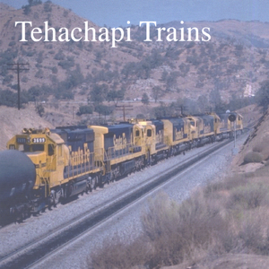 CWR Work Train