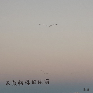 不敢触碰的从前
