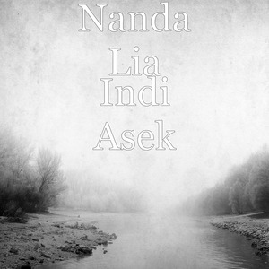 Indi Asek