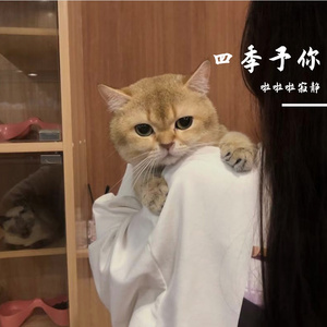 四季予你（翻自 眉间朱砂）