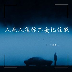 人来人往你不会记住我 (深情女生版)