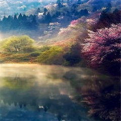 车窗外的世界距离你越来越远