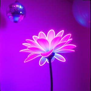 Your Love Is My World