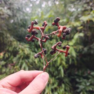 回忆全是你 未来没有我-小梦哥