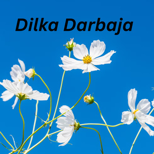 Dilka Darbaja