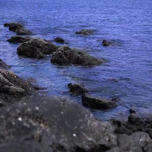 如何不再让我去想你（翻自 井迪儿）