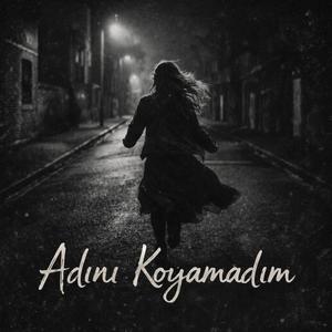 Adını Koyamadım