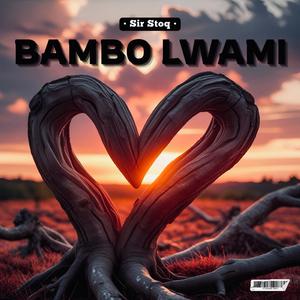 Bambo Lwami