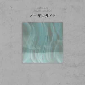 Northern Light (Bistro Boy Remix)