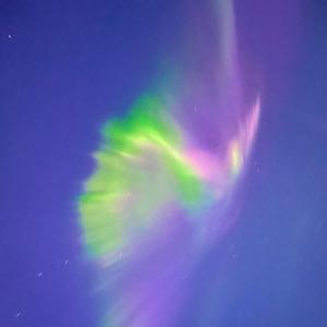 Not a Hawk, but a Vulture (Blood)