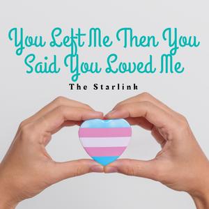 You Left Me Then You Said You Loved Me
