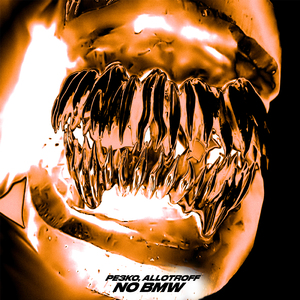 No Bmw