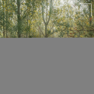 Tides of Delta Waves