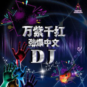 痴心的人犯下痴情的罪 (DJ佐罗版)