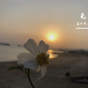 别错过（翻自 程佳佳）