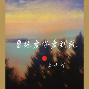 曾经爱你爱到疯